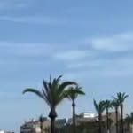 Test user - @test.dev.inst.app - Instagram