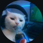 test user - @testuser0284 - Instagram