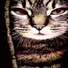 Tevin Evans - @tevin.evans - TikTok
