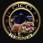 Tevin Freeman - @cico_kennels - Instagram