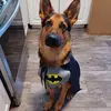 Tevin Gilbert - @shorty.lll - TikTok