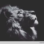 Tevin J Harris - @kingharris1995 - Instagram