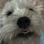 Tevin Hill - @tevin_hill - Instagram