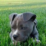 Tevin Kemp - Facebook