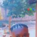 Divin Wesley - Facebook