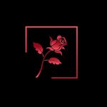 Tevin Wright-Rose - @wrightrosecinema - Instagram