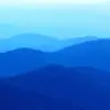 Tevin Young - @tevin.young8 - TikTok