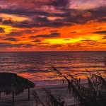 Tex Johnson - @tex4577 - Instagram