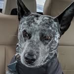 Texas Boles - @texasboles - Instagram