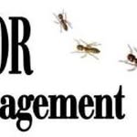 Texas Boles - @superiorpestmgt - Instagram