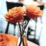 Texas Rose Concierge Nurse, P.C. - @texas.rose.concierge.nurse - Instagram