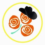 Texas Rose of Tralee - @texasroseoftralee - Instagram