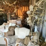 vickie davis - @texas_rose_show - Instagram