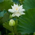 Thach Bui - @buingocthach0503 - Instagram