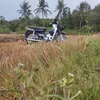 Hoàng Tiếng - @thachhoang.0609 - TikTok