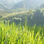 Thạch Phạm Xuân - @thachphamxuan - Instagram