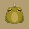 toadbloom - @toadbloom - TikTok
