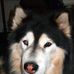 Thad Byrd - Facebook