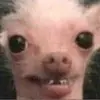 thaddeuscallahan - @thaddeuscallahan - TikTok