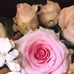 Lyn Freeman - Facebook