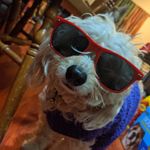 Thad Moody - @thetmoods - Instagram