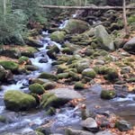 Thad Wells - @wells.thad - Instagram