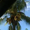 David Thaddeus - @david.thaddeus3 - TikTok