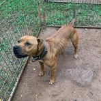 Thad Hendricks - Facebook