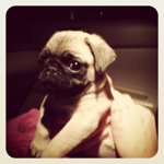 Gabriel Thaddeus Hogan - @_gabeybaby_ - Instagram