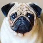 Thaddeus Jackson mclean - @thaddeusjacksonmclean - Instagram