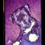 Thaddeus James - @jamest3004 - Instagram