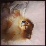 Thaddeus Leonidov - @thaddeus.leonidov - Instagram
