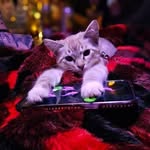 Quasar Thaddeus - @lunarqso - Instagram