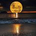 Thaddeus Malone - Facebook