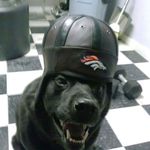 James Thaddeus Murray - @jamesthaddeusmurray - Instagram