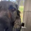 Thaddeus Richard - @thaddeus.richard1 - TikTok