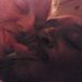 Thaddeus Scott - Facebook