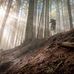 Thad Sharp - Facebook