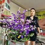 Thai Luu - @thai4938 - Instagram