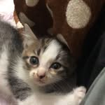 Thái Vân - @onlysu.0915 - Instagram