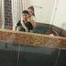 Thái Vấn - Facebook
