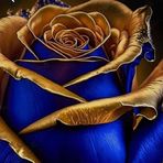 Thais Black - Facebook