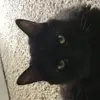 Thalia Wolfmeyer - @thaliawolfmeyer - TikTok