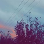 Thalia Moore - @thalia_spammxx - Instagram