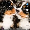 Thalia Pearce - @thalia.pearce4 - TikTok