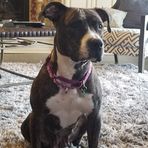 Thalia Phillips - Facebook