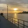 🌼Thalia👻 - @thalia.rojas19 - TikTok