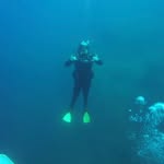 Thalia Ross - @thalia_marinebio - Instagram