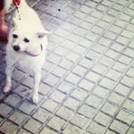 Thalia - @thalia.ross - Instagram