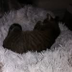@thalia8264stark - Instagram